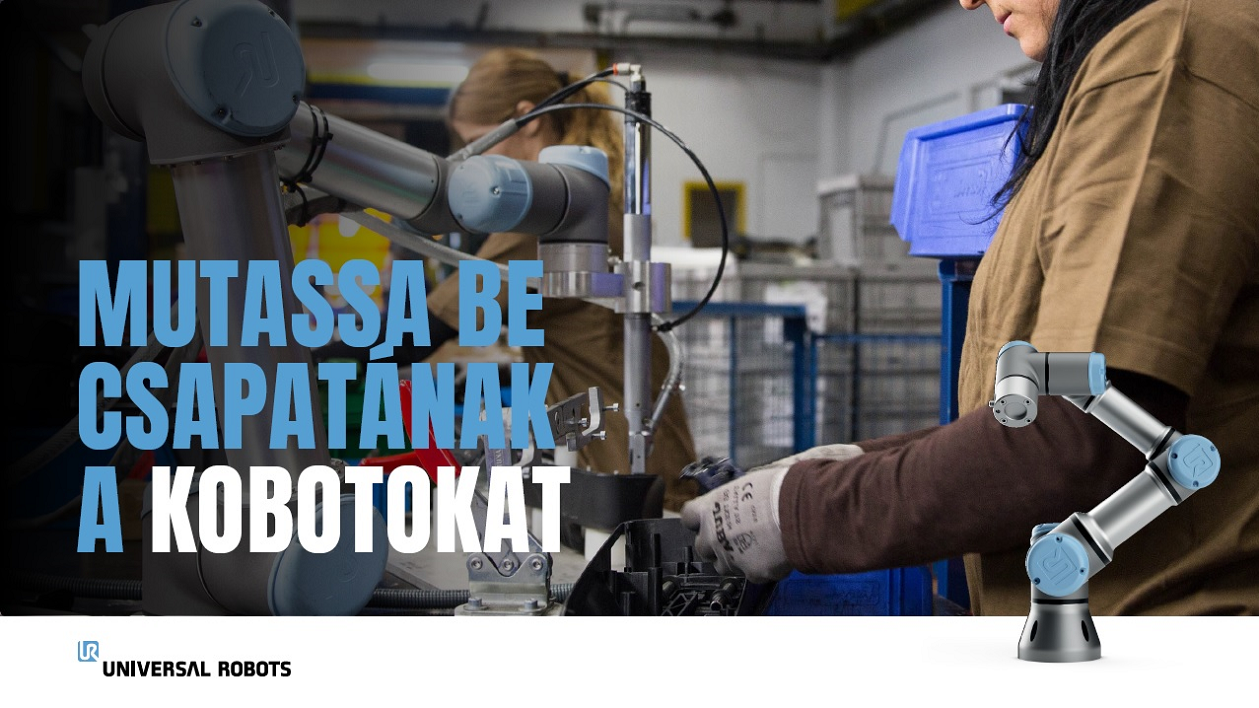 A kobotok bemutatása a csapatának